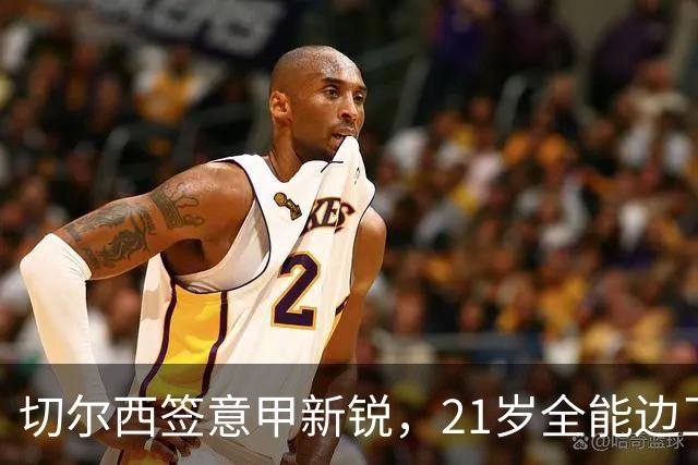 切尔西签意甲新锐，21岁全能边卫帕莱斯特拉加盟，七年长约锁核心